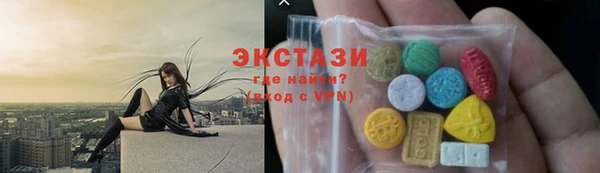 ECSTASY Богородицк